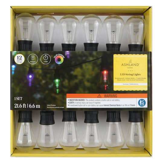 12ct. Multicolored Edison LED String Lights by Ashland&#xAE;